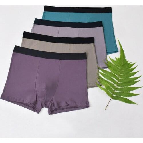 DakunhuiLC Men's Briefs-shorts