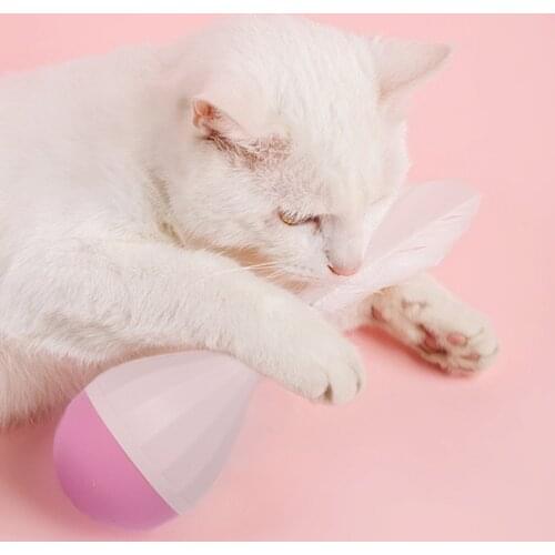 Funny Creative Pet Tumbler Play Training Exercise Interactive Teasing Goose Leather Ball Cat Dog Toys Self-Playing Entertainment