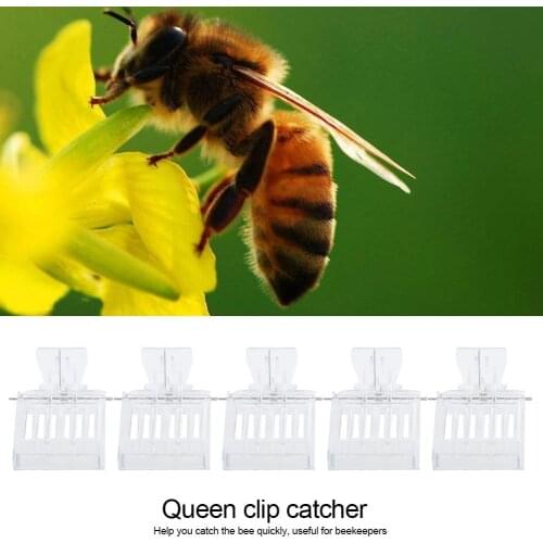 5pcs Beekeeping Queen Bee Cage Catcher Clips Transparent Beekeeper Catching Tool Beekeeping Tool Equipment