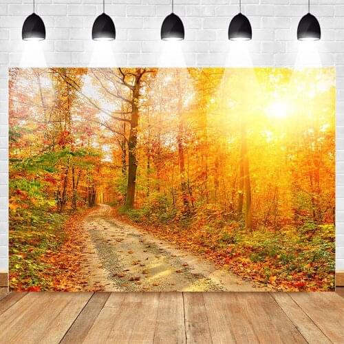 MOCSICKA Autumn Theme Party Backdrop for Photo Studio Sunshine Fall Maple Leaf Background Romantic Maple Forest Photobooth
