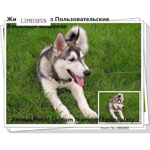 Photos Custom!!5D DIY Diamond Painting 100% Full Embroidery Square Resin Rhinestone Animal Dog Cat Horse Christmas Pet