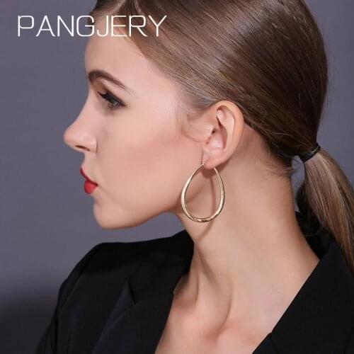 PANGJERY Prevent Allergy 925 Sterling Silver Hoop Earrings for Charm Women INS Fashion Temperament Circle Party Jewelry Gifts