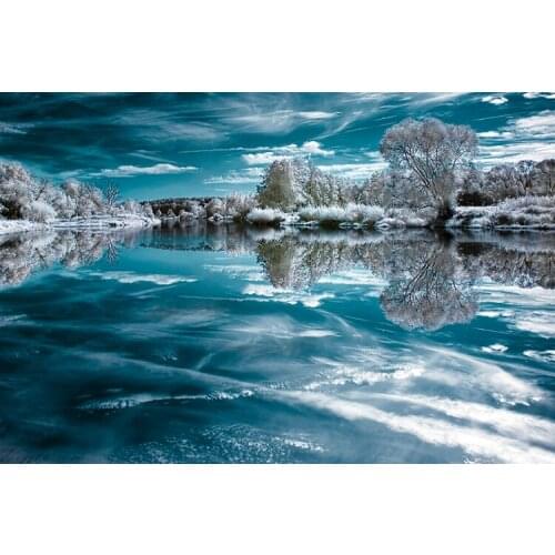 Reflection in winter The wooden puzzle 1000 pieces ersion paper jigsaw puzzle white card adult childrens educational toys