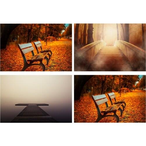 Photo Taking Autumn Fallen Leaves Photography Backdrop Style Props Photo Cloth