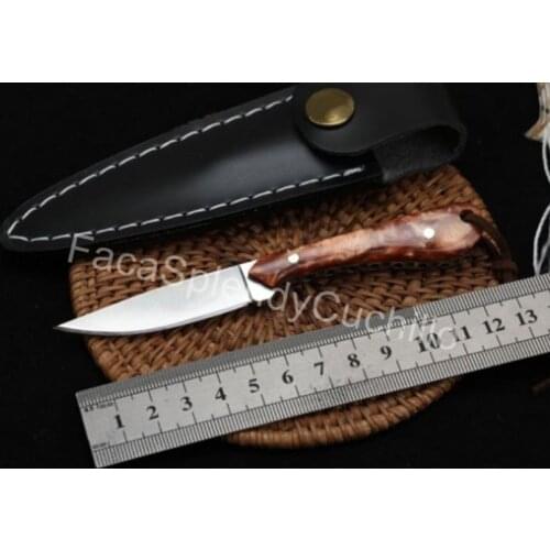 Small Shark Mini Straight Fixed Blade Knife 9Cr18MOV Blade Acrylic Handle Tactical Pocket Hunting EDC Survival Tool Knives