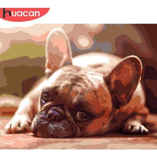 HUACAN Oil Painting Dog Animal Handpainted Home Decoration Pictures By Number Drawing On Canvas Wall Art Handmade Gift