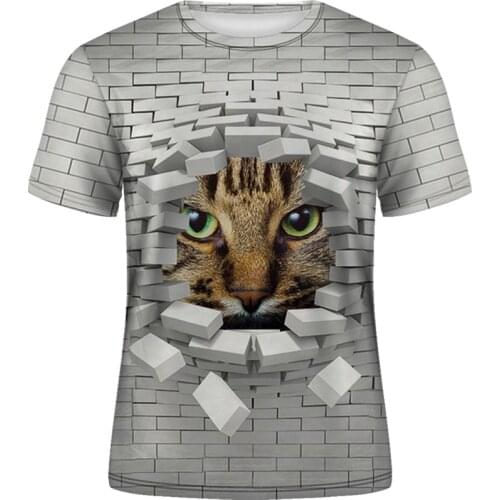 Womens short sleeve printed o collar T shirt new men and womens animal broken wall cat T shirt summer T shirt