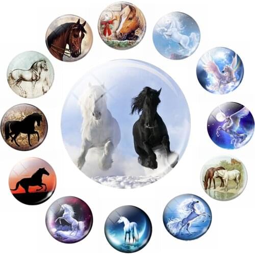 Hot Horse 30 MM Fridge Magnet Horse Jewelry Making Art Photo Glass Cabochon Animal Magnetic Stickers Decoration Home Decor