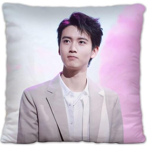 Story of Yanxi Palace Chen Youwei Pillowcase Pretty Scholar Yu Lexuan Same Paragraph Star Photo Poster Cushion Cover Souvenir