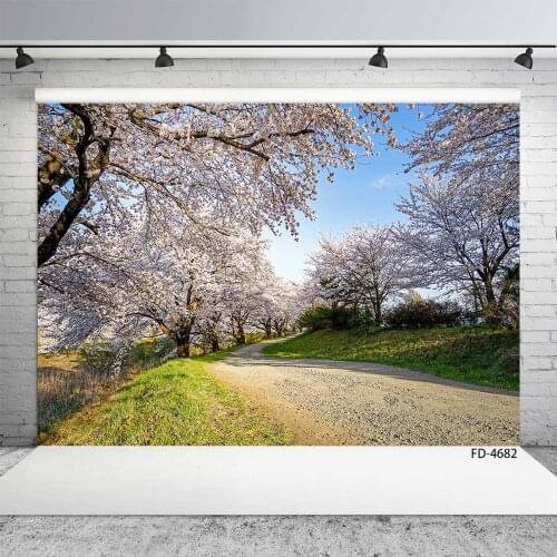 Trees Grassland Path Photographic Backdrop Vinyl Cloth Fond Backgrounds for Baby Portrait Children Pets Toy Photophone Props