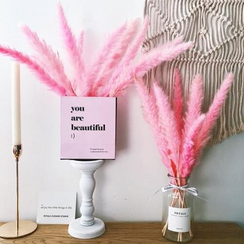 55cm Natural Plants Dried Flower Bouquet Pampas Grass Unicorn DIY Wedding Gifts Photography Photo Prop Home Decoration Christmas