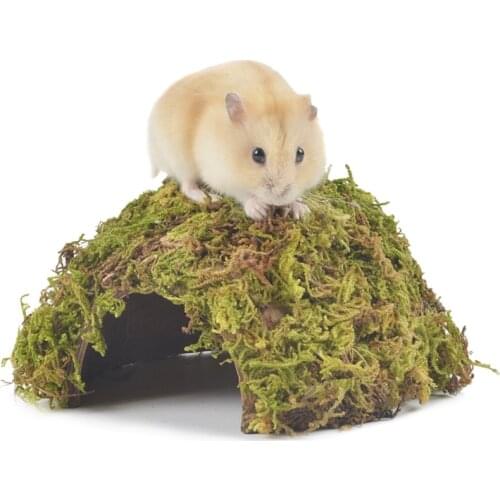 Natural Coconut Shell Small Animal Pet Spider Lizard Cave Nest with Hole Reptiles Hiding Cage Hamster House Nest Pet Supplies