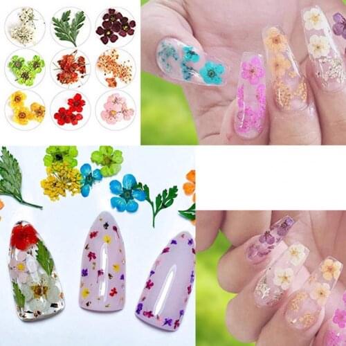 24Pcs/36Pcs 3D Dry Flowers Stickers Fingers Colorful Flowers Patterns Nail Art Decoration Tips DIY Manicure Tools with Box