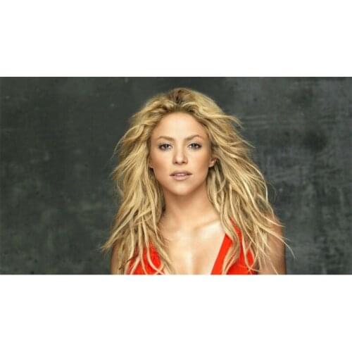 D0439 Shakira Silk Fabric Poster Art Decor Indoor Painting Gift