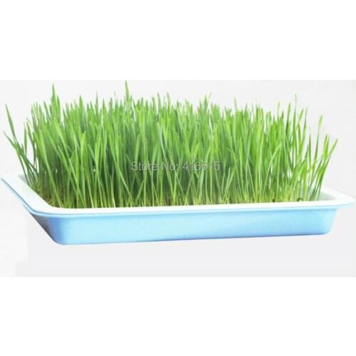 Square Medium Plastic Hydroponics Nursery Pots Garden Tools Seeds Sprout Vegetable Planter Double Layers Nursery Seedling Plate