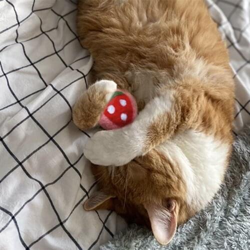 Totally Handmade Felt Solid Cat Mint Ball, Strawberry Design Cat Toy Ball, Catnip Toy, Pet Supplies Cat Supplies