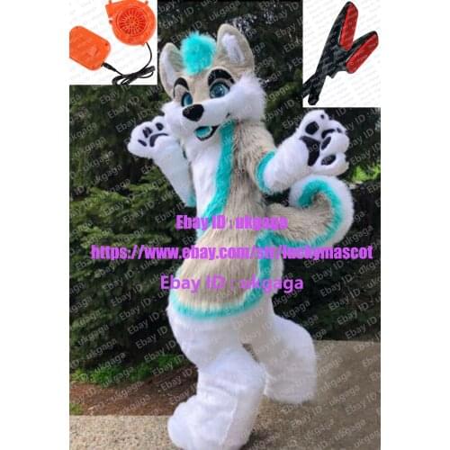 3-D Eyes FREE Fans Fursuit Fullsuit Panda Teen Costumes Wild Dog Fox Child Full Furry Suit