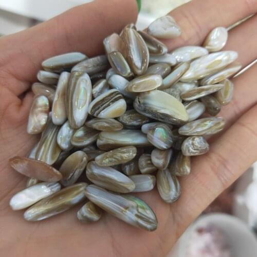 Natural Melon Seeds Tiny Shells Seashells Aquarium Gravel for Fish Tank Healing Stones