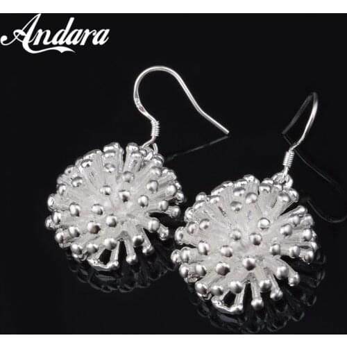 2020 New 925 Sterling Silver Earrings Firework Earrings Women Jewelry Gifts