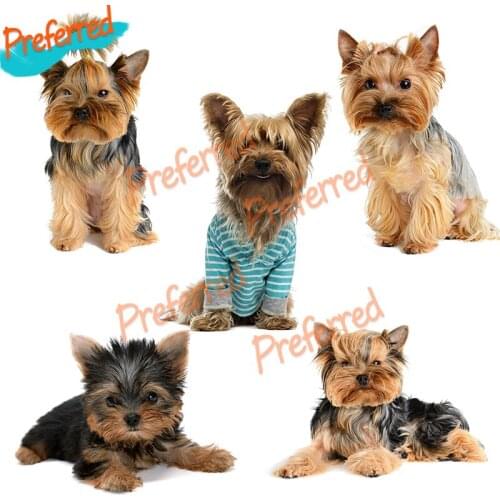 High Quality HD Pixel Cute Yorkshire Terrier Waterproof Dog Sticker Vinyl Auto Wrap for Car Hood Laptop Home Decora Decals