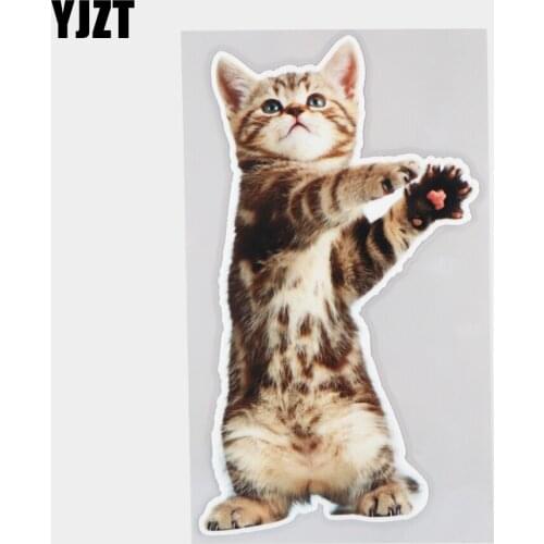 YJZT 12×19.5CM Playful And Humorous Kitten Cartoon Car Body Decoration Bumper Stickers 21A-0002