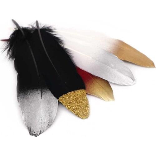 RONGWINGYIK Decorative Feathers