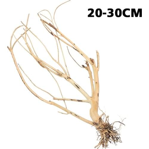 Natural Tree Trunk Driftwood For Fish Tanks Environments Small Aquarium Driftwood Fish Tank Plant Wood
