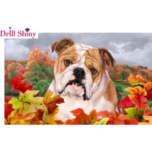 5D Diy Diamond Painting Cross Stitch Diamond Embroidery Bulldog Baby Diamond Mosaic Square Pattern Rhinestone Needlework