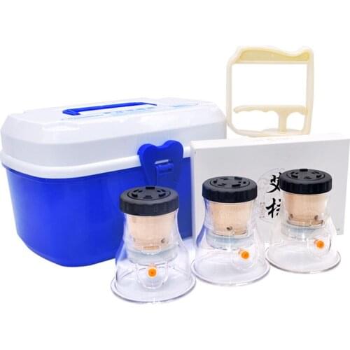 Acupuncture Moxibustion therapy massage vacuum cupping absorb moisture moxibustion moxa instrument beauty salon