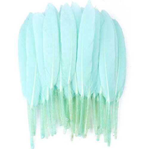 Mint Green Hard Pole Goose Feathers DIY Pen Decorative 10-15Cm Natural Goose Feather For Crafts Handiwork Accessory Fly Tying