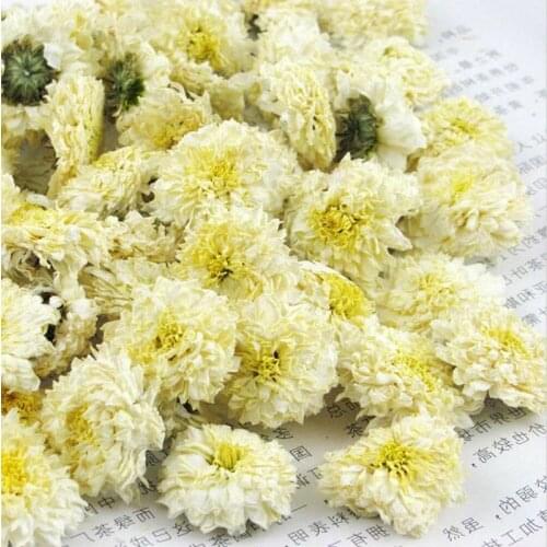 2021 Organic Premium HuangShan Tribute Dried Florists White Chrysanthemum Flower GONG JU