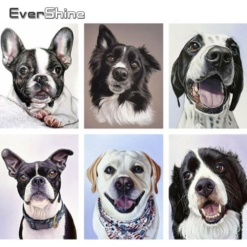 Evershine Diamond Painting Dogs Full Square Drill Cross Stitch Animals Embroidery Full Set Rhinestones Picture Wall Stickers