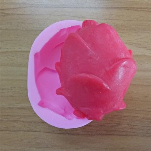 Soap Mold 3D Soap Mould Chocolate Mold Decorating Cake Tools Thailand 2016 Dragon Fruit Silicone Silicone Rubber PRZY 001
