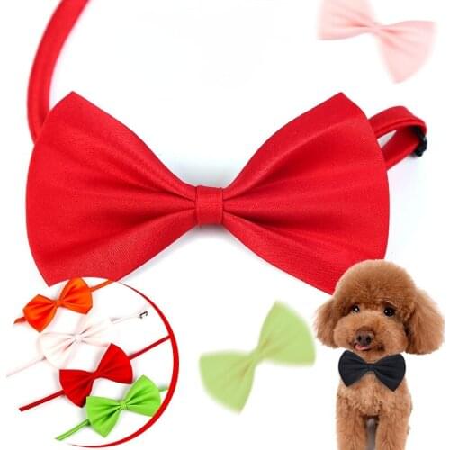 Pet Collar Bowknot Tie Puppy Collar Pet Tie Cat and Dog Collar Kitten Collar Harness Fashion Pet Accessories Kitten Accessories
