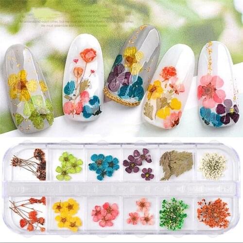 Real Nail Lace Dried Flowers Leaf Nail Art Decoration DIY Tips Small Flowers Nails Stickers For Manicure Tools