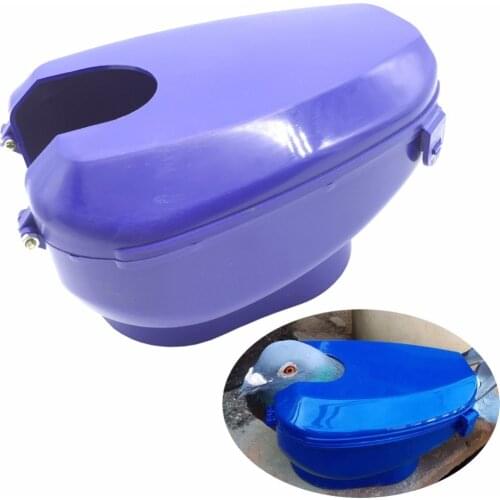 Adhere To Fly Business Card Holders