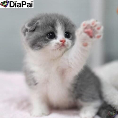 DIAPAI 5D Diamond Embroidery Needlework Kit "Animal cat" Diy Diamond Painting Cross Stitch Home Decoration Gift A26148