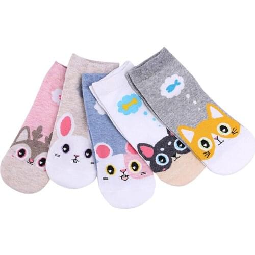 5 Pairs New Arrival Women Socks Ladies Girls Cotton Warm Soft Sox Beautiful Curve Appearance Fabulous Elastic Youthful Style Sox