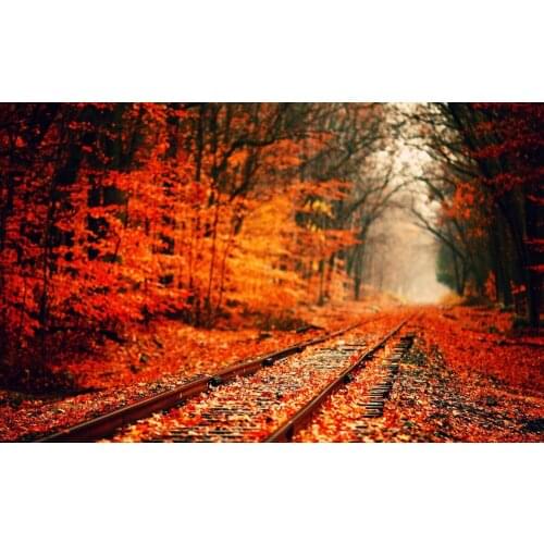 Fall trees autumn railroad track leaves photo backdrop High quality Computer print scenic background
