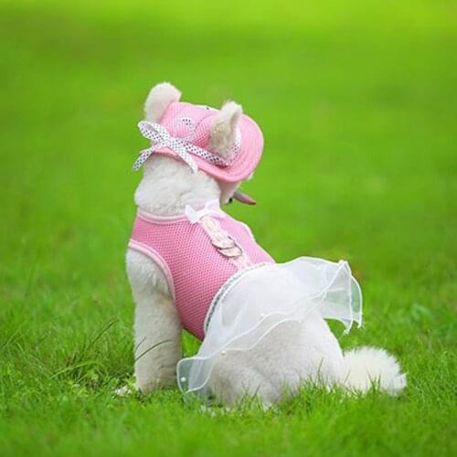 Fashion Summer Style Pet Dog Dress Mesh Breathable Puppy Dogs Strap Collar With Leash Set Dog Wedding Dresses Harness Set 00A