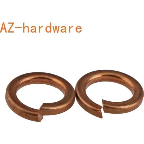 M3 M3 M5 M6 M8 M10 M12 Copper Pad Spring Washer Bronze Spring Washer Swass (GB93 20Pcs