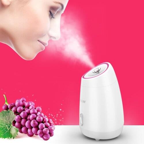 Fruit Facial Steamer Hot Mist Steam Nano Ionic Sprayer SPA Moisturizing Face Thermal Humidifier Deep Cleansing Beauty Instrument
