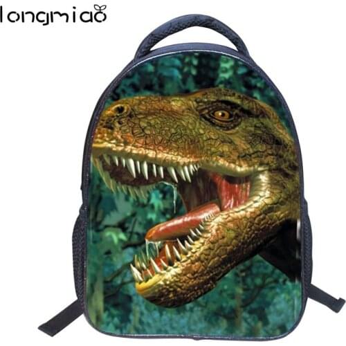Longmiao Backpacks For Boys