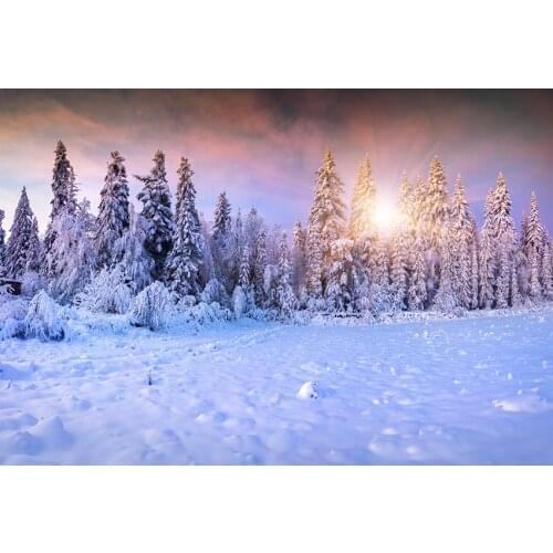 Sun shining photo background winter forest wedding vinyl fairyland kids photo backdrop for photo Studio props fotografia lv-2370