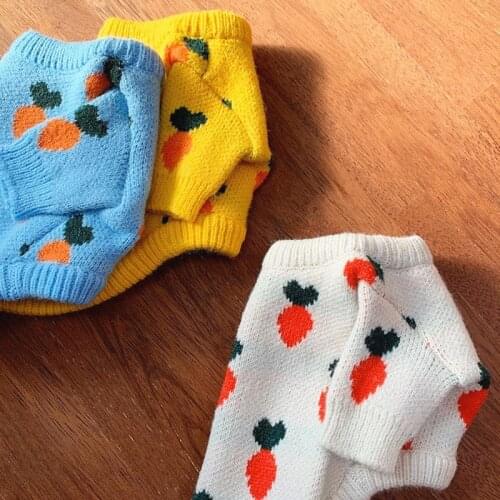 2021 New Pet Teddy Clothes Cat and Bear Warm Sweater Puppy Clothes knitted Sweater Soft Pet Two-legged Clothes