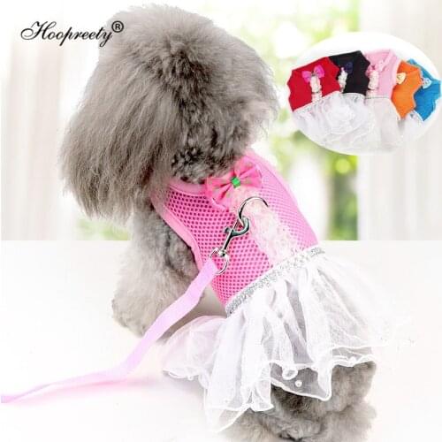 Wholesale 5 Colors Dog Harness Leash Set Mesh Cat Dress Harness For Small Dogs Lace Tulle Pet Skirt Breathable Puppy Vest 10A