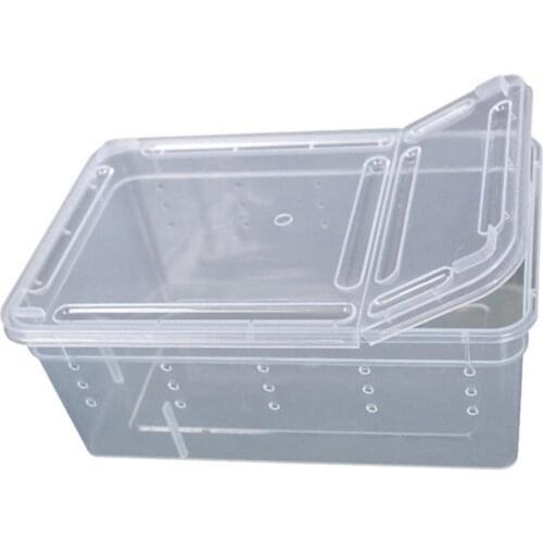 Amphibian Insect Transport Feeding Case Lightweight Transparent Plastic Reptile Breeding Box Case Pet Products Accessories