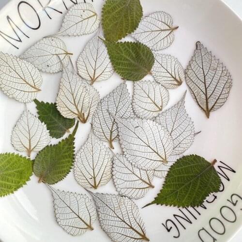 12pcs 4-6cm Ramie Leaves Jade Candle Jar Making Supplies Cactus Bougeoir Meche Dry Flowers DIY Candle Making Bougie Anniversaire