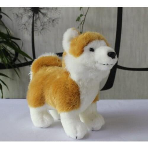 Lifelike toy about 23x21cm Japanese Akita dog plush toy soft doll baby toy Christmas gift h0747