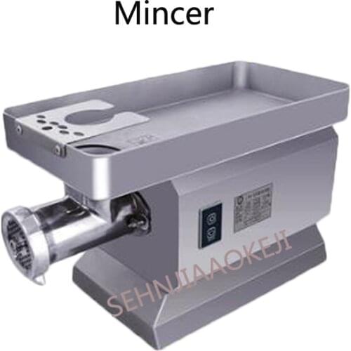 Stainless steel electric meat grinder RY-22 Commercial copper motor mincer High power meat filling machine sausage machine